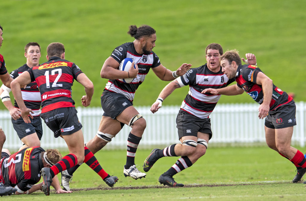 Shute Shield Mid Season Review: West Harbour - Rugby News